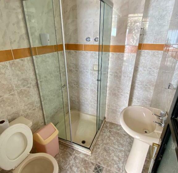 اتاق اکونومی, Mitru