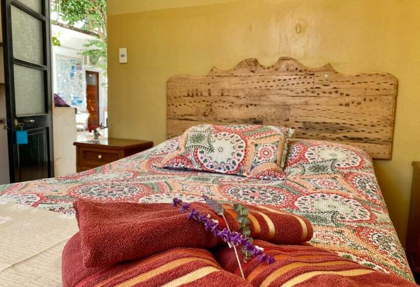 اتاق اکونومی, Mitru