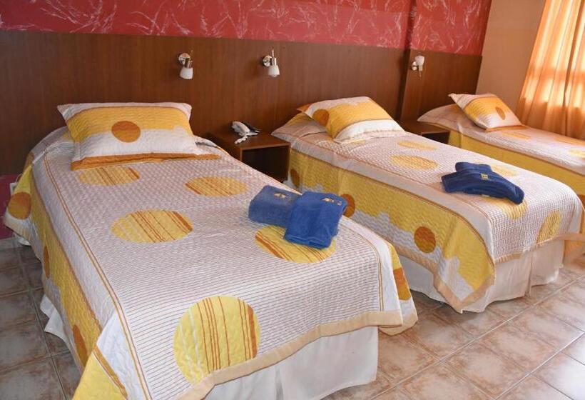 اتاق سوپریور سه تخته, Mitru