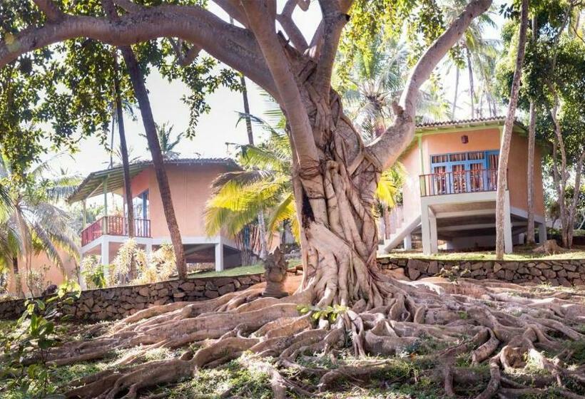 オーシャンビューのスタンダードバンガロー, Palace Mirissa