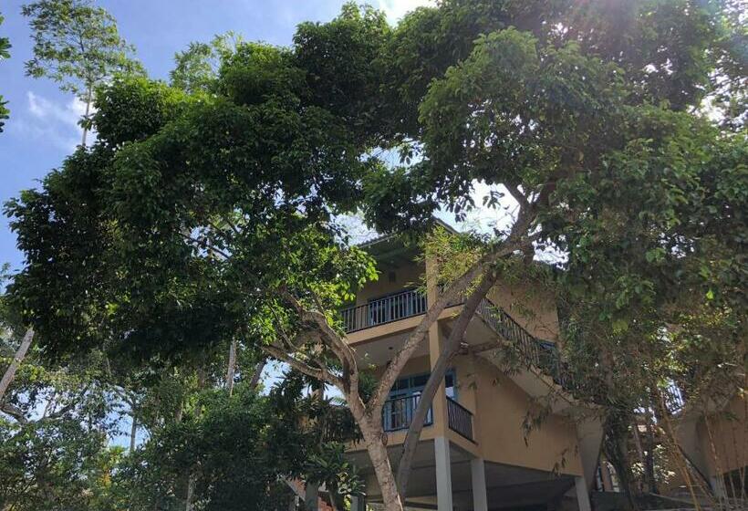 オーシャンビューのスタンダードバンガロー, Palace Mirissa