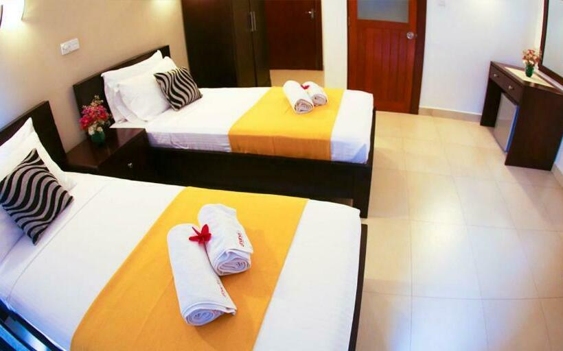 デラックスルーム, Shanelo