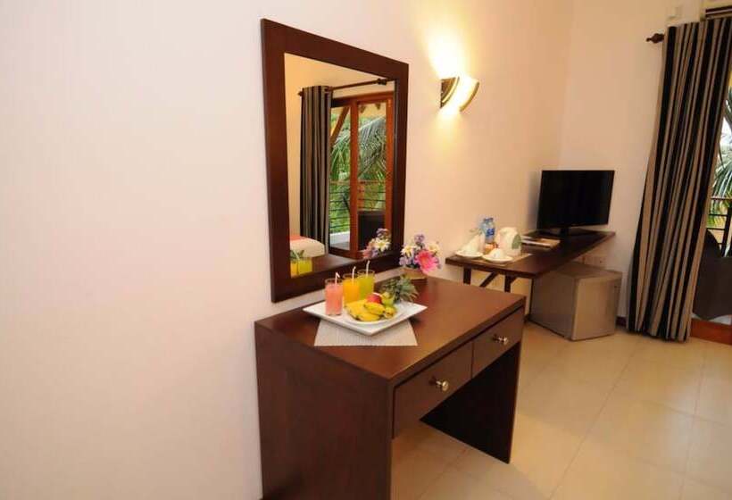 デラックスルーム, Shanelo