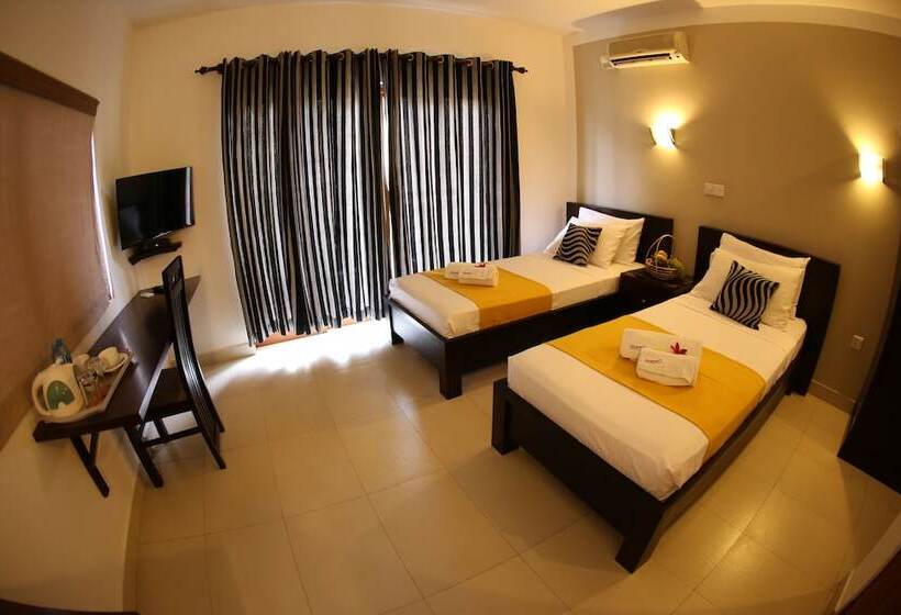 デラックスルーム, Shanelo