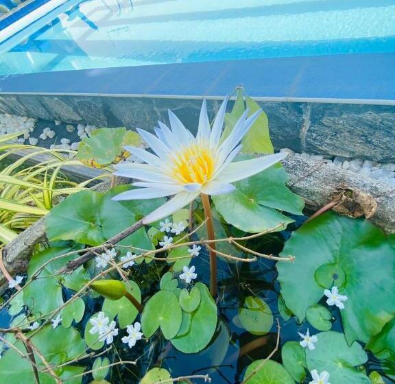 스탠다드 룸 풀장 전망, Liyanage Resort