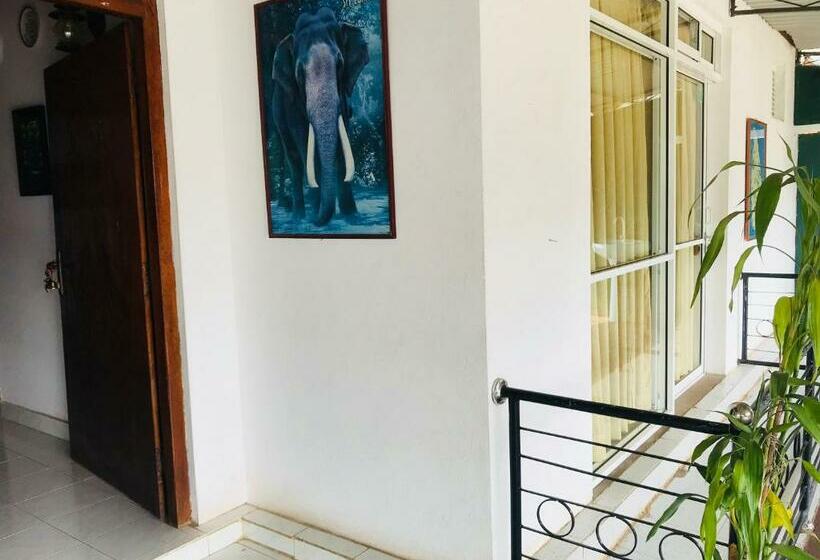 이코노미 룸, Ella City Reach Hostel