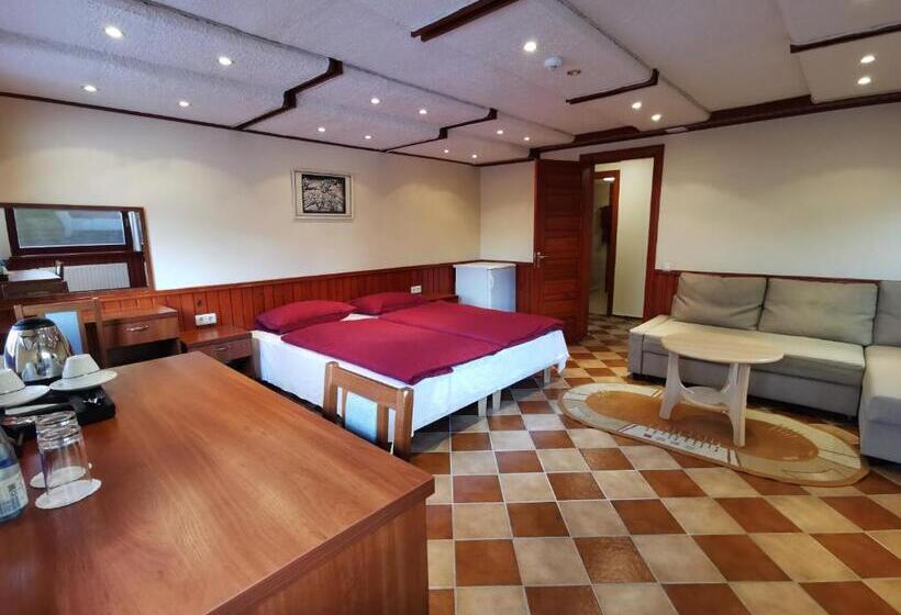 اتاق استاندارد, Galia Apartments In Druskininkai