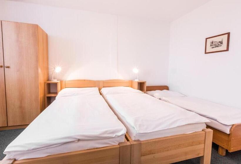 חדר סטנדרט לשלושה, Gradl