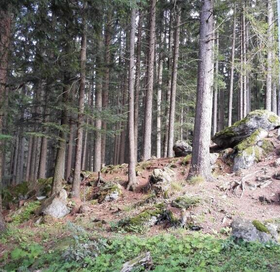 חדר סטנדרט נוף להרים, Gradl