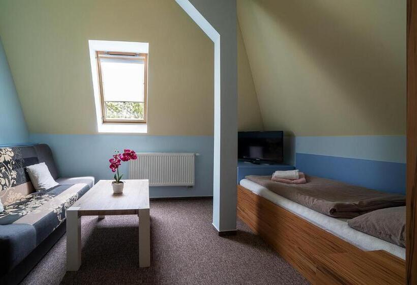 غرفة قياسية فردية, Nautico