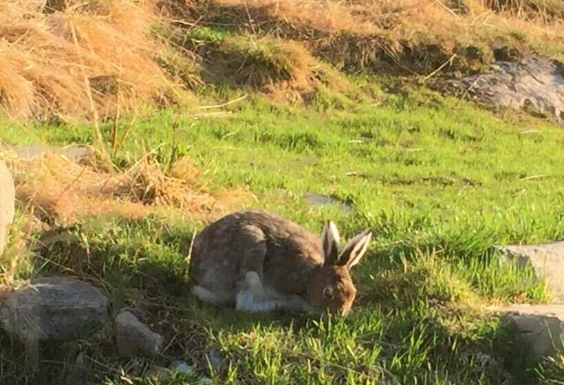 스탠다드 룸, Putten Seter