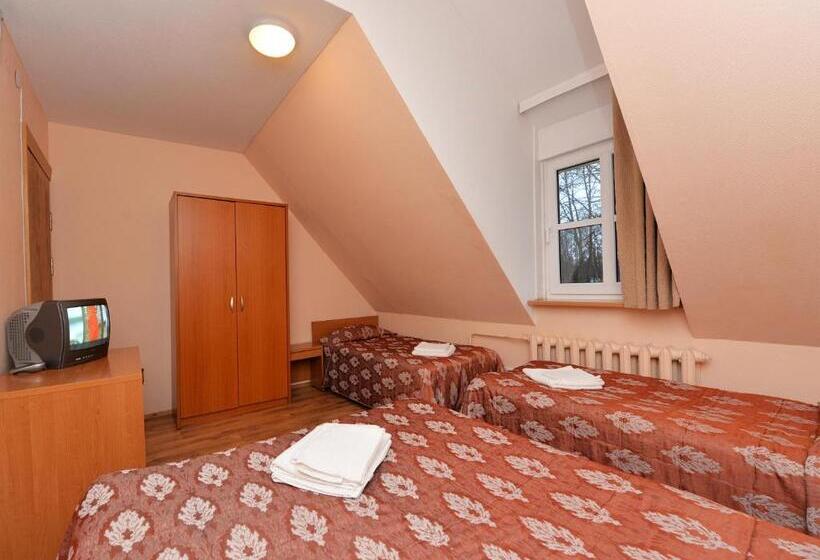 اتاق خانوادگی, Raze