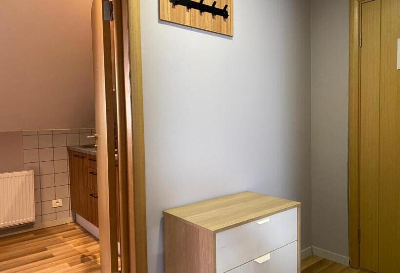 آپارتمان 1 خوابه, Stay Express