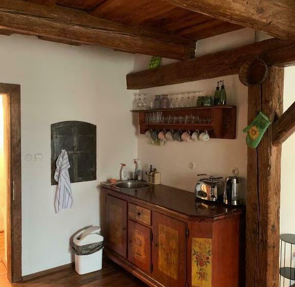 标准工作室, štramberk Spa