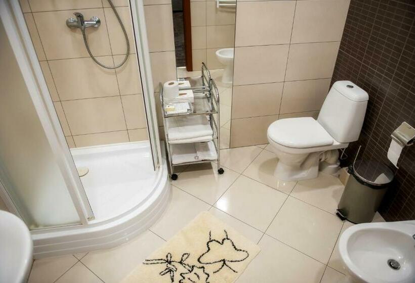 اتاق استاندارد, Vingis