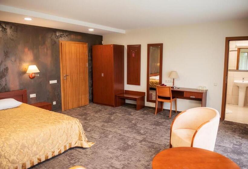 اتاق استاندارد, Vingis