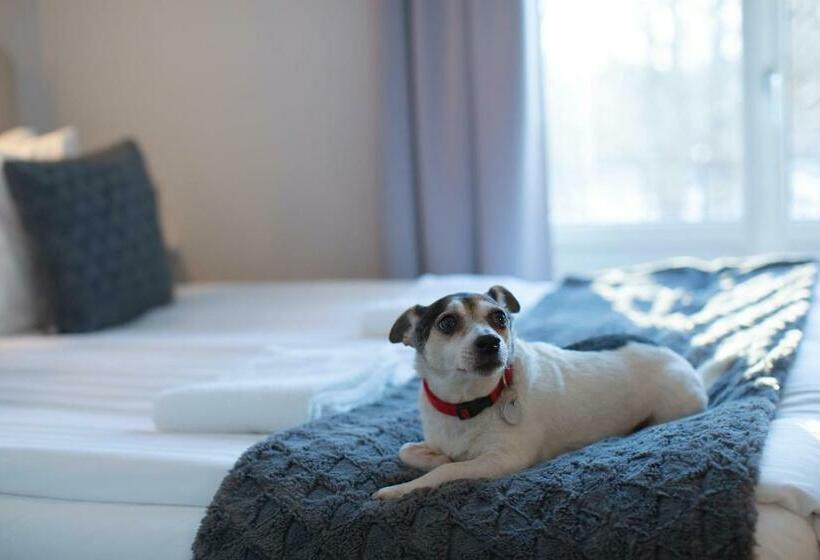 غرفة قياسية, Park Hotell