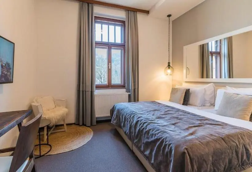 スタンダードルーム, Wellness & Spa Hotel Augustiniánský Dům