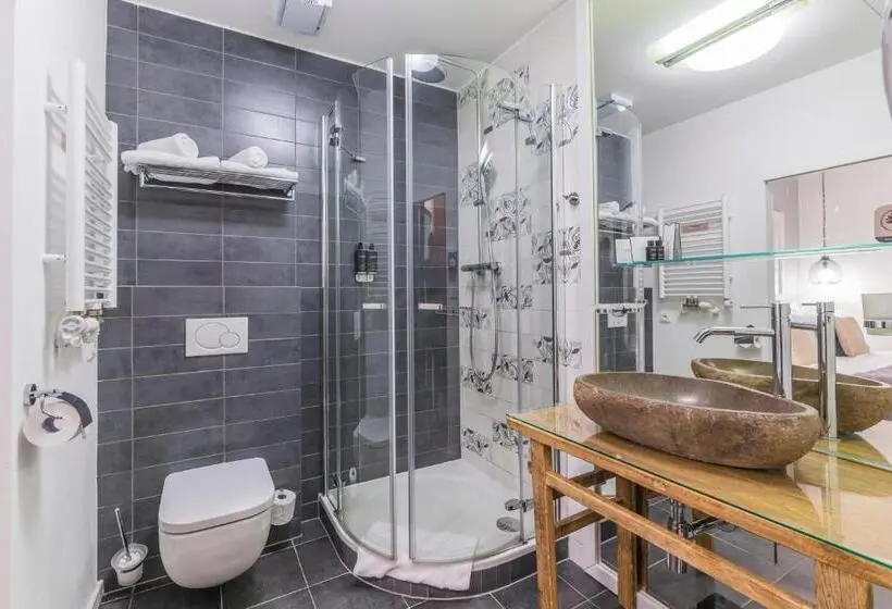 スタンダードルーム, Wellness & Spa Hotel Augustiniánský Dům