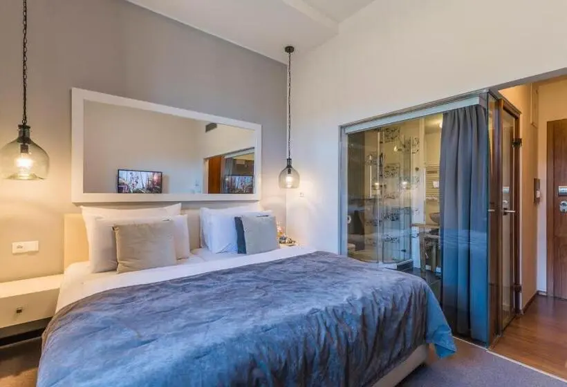 スタンダードルーム, Wellness & Spa Hotel Augustiniánský Dům
