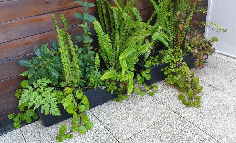 آپارتمان 1 خوابه با تراس, 100 Contos