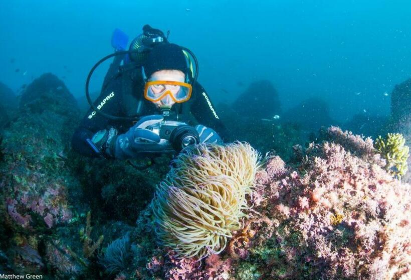 标准工作室, Puravida Divehouse