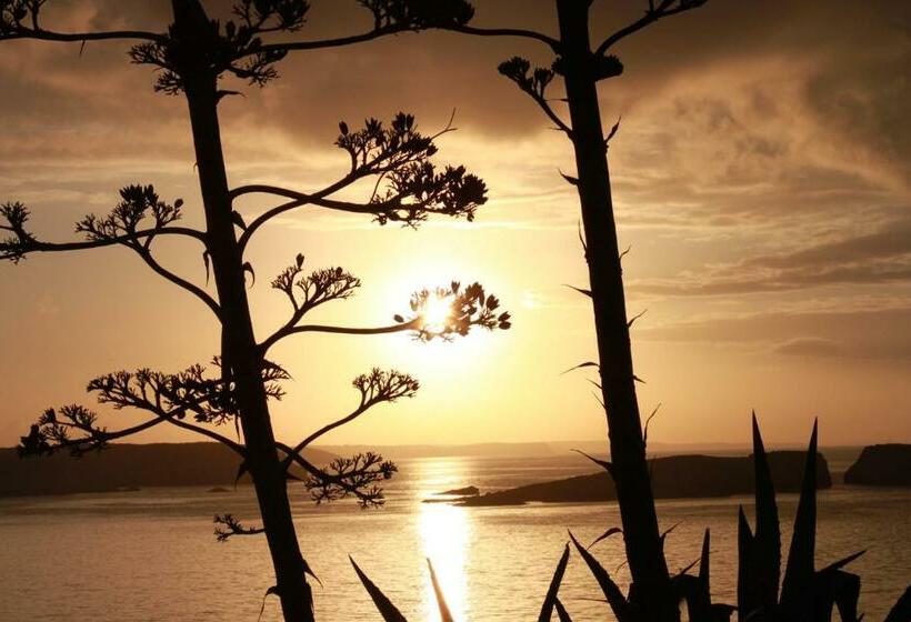 标准工作室, Puravida Divehouse