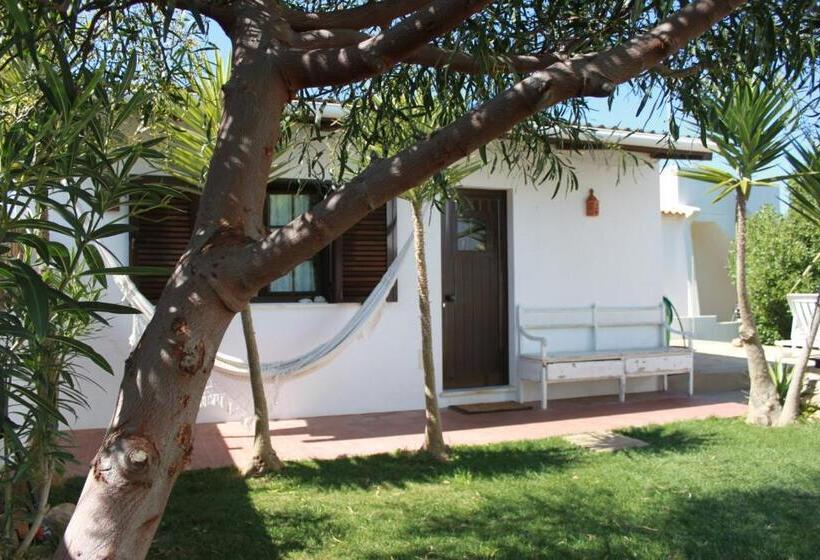 标准工作室, Puravida Divehouse