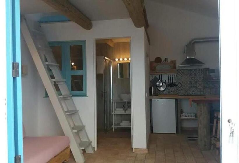 标准工作室, Puravida Divehouse