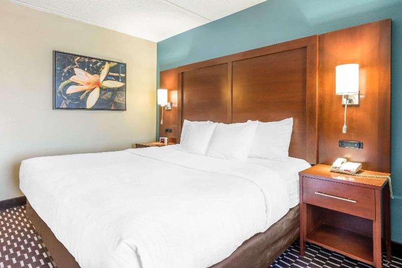 غرفة قياسية سرير كينج, Chartre Manor B&b