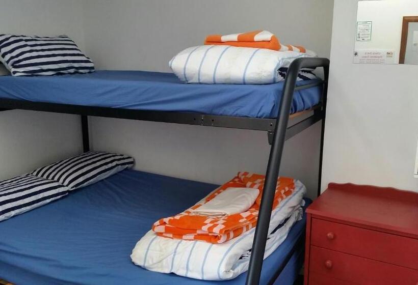 اتاق استاندارد با سرویس بهداشتی مشترک, Loft 109 Backpackers Hostel