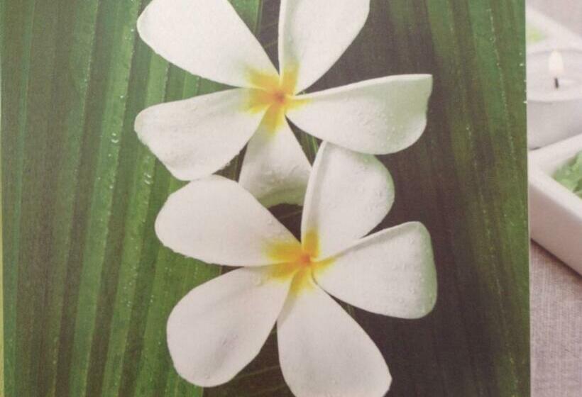 غرفة قياسية, Te Moana Bed & Breakfast