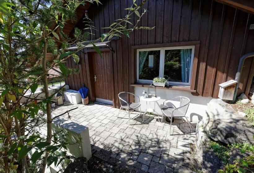 스탠다드 스튜디오 정원 전망, Bnb Alpenblick