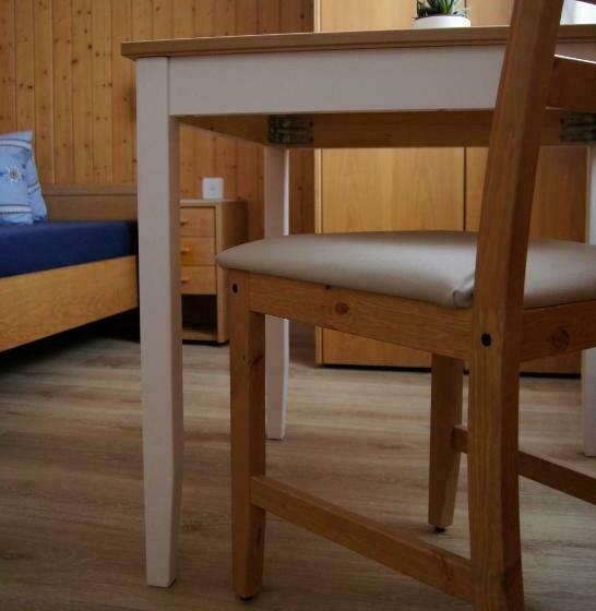 スタンダードシングルルーム, Alpenblick Muotathal