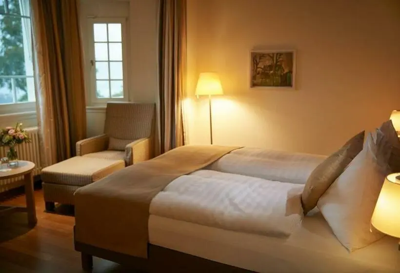 Standard Room, Kurhotel Sonnmatt Luzern