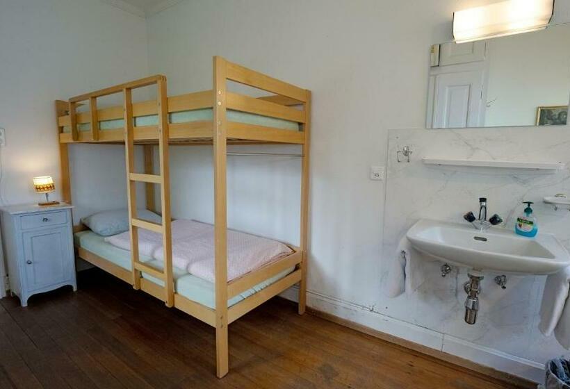 غرفة قياسية, Leissigen Youth Hostel
