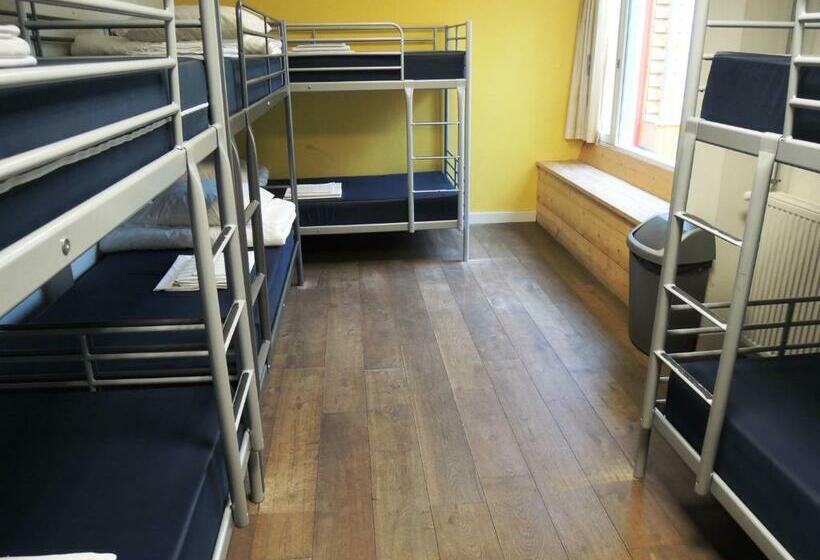 מיטה בחדר משותף, 3be Backpackers Bed & Breakfast Eindhoven