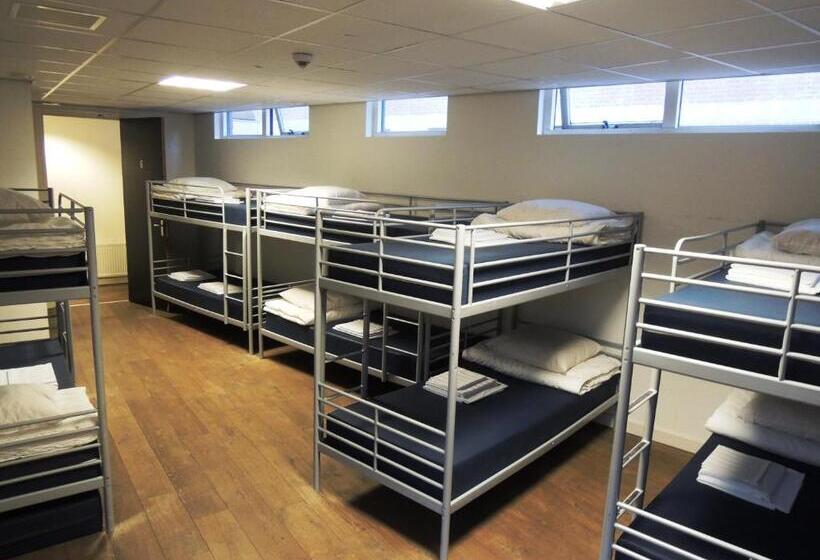 מיטה בחדר משותף, 3be Backpackers Bed & Breakfast Eindhoven