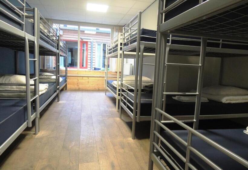 מיטה בחדר משותף, 3be Backpackers Bed & Breakfast Eindhoven