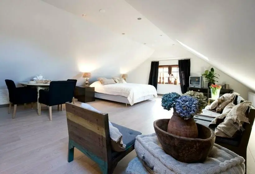 キングサイズベッドのデラックススイート, B&b De Drentse Es
