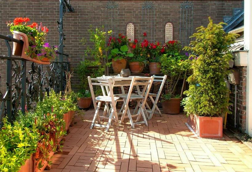 Номер Superior, Cubacasa