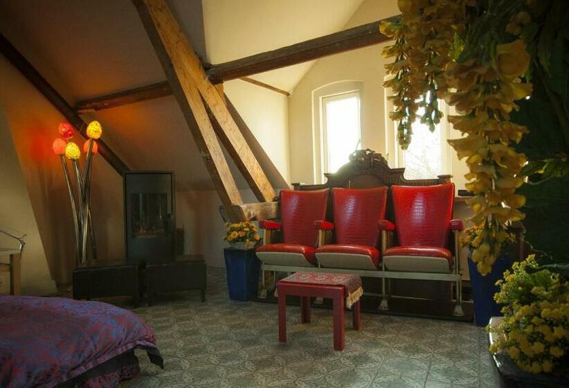 Номер Superior, Cubacasa