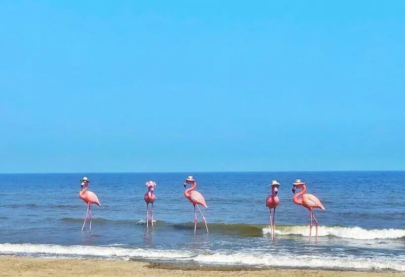 استودیوی استاندارد با چشم‌انداز دریا, Flamingo Ibiza Hải Tiến