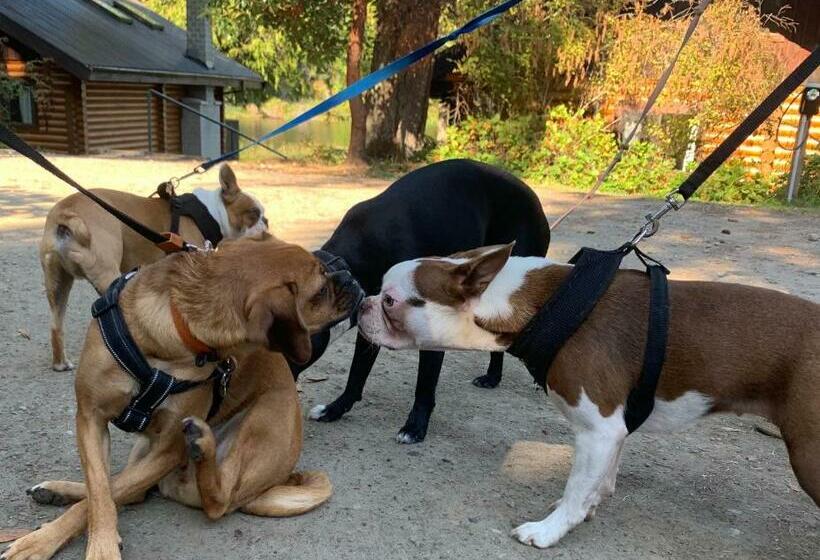 一居室别墅, Cusheon Lake Resort