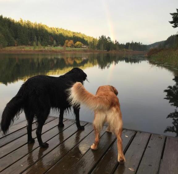 Дом 2 Спальни, Cusheon Lake Resort