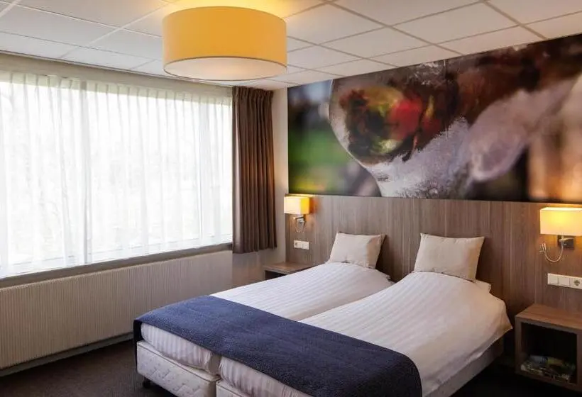 Superior Room, And Restaurant Van Saaze