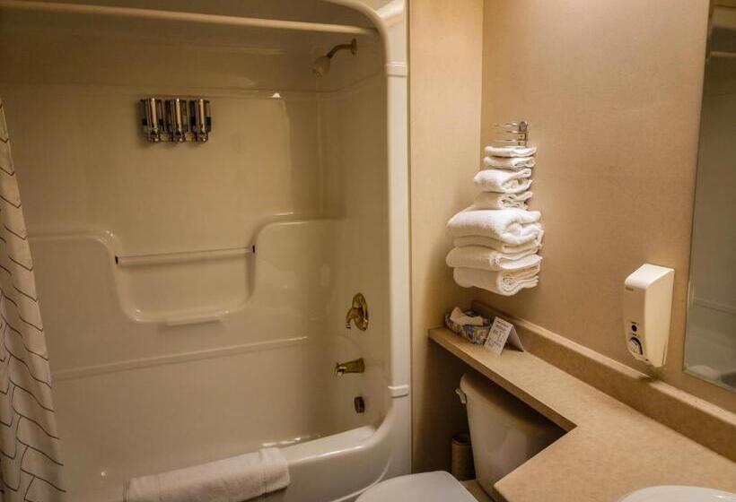 Номер Стандарт 2 Двуспальные Кровати, Cedar Meadows Resort & Spa, Ascend Hotel Collection