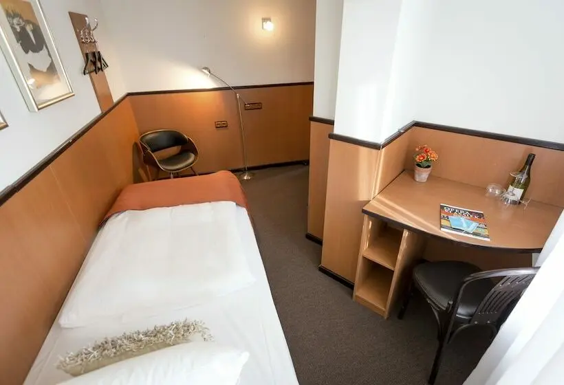 Standard Yhden Hengen Huone, Stadshotel Heerlen
