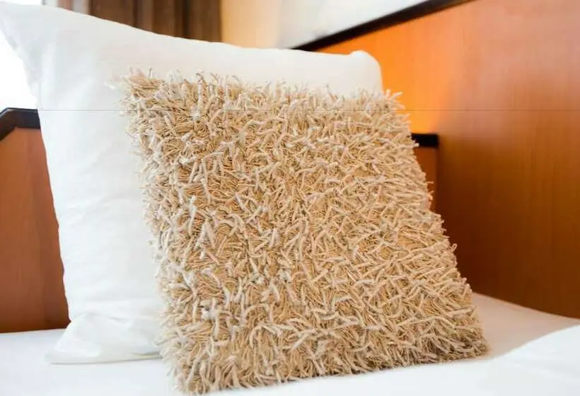 Standard Yhden Hengen Huone, Stadshotel Heerlen