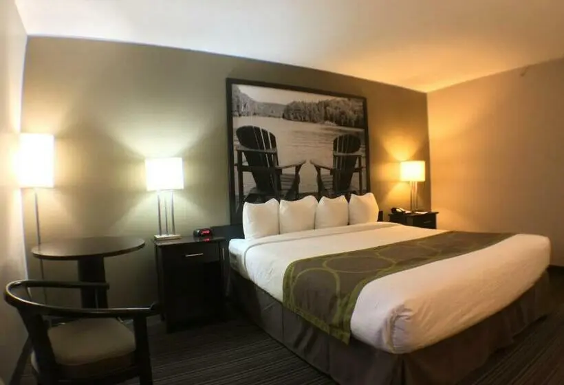 Standard-huone King-vuode, Super 8 By Wyndham Kapuskasing
